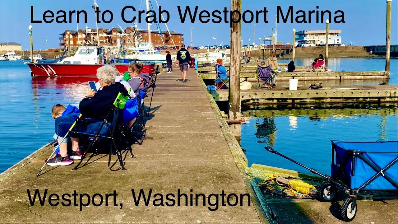 Discover Westports Premier Fishing and Crabbing Areas for Year-Round Fun