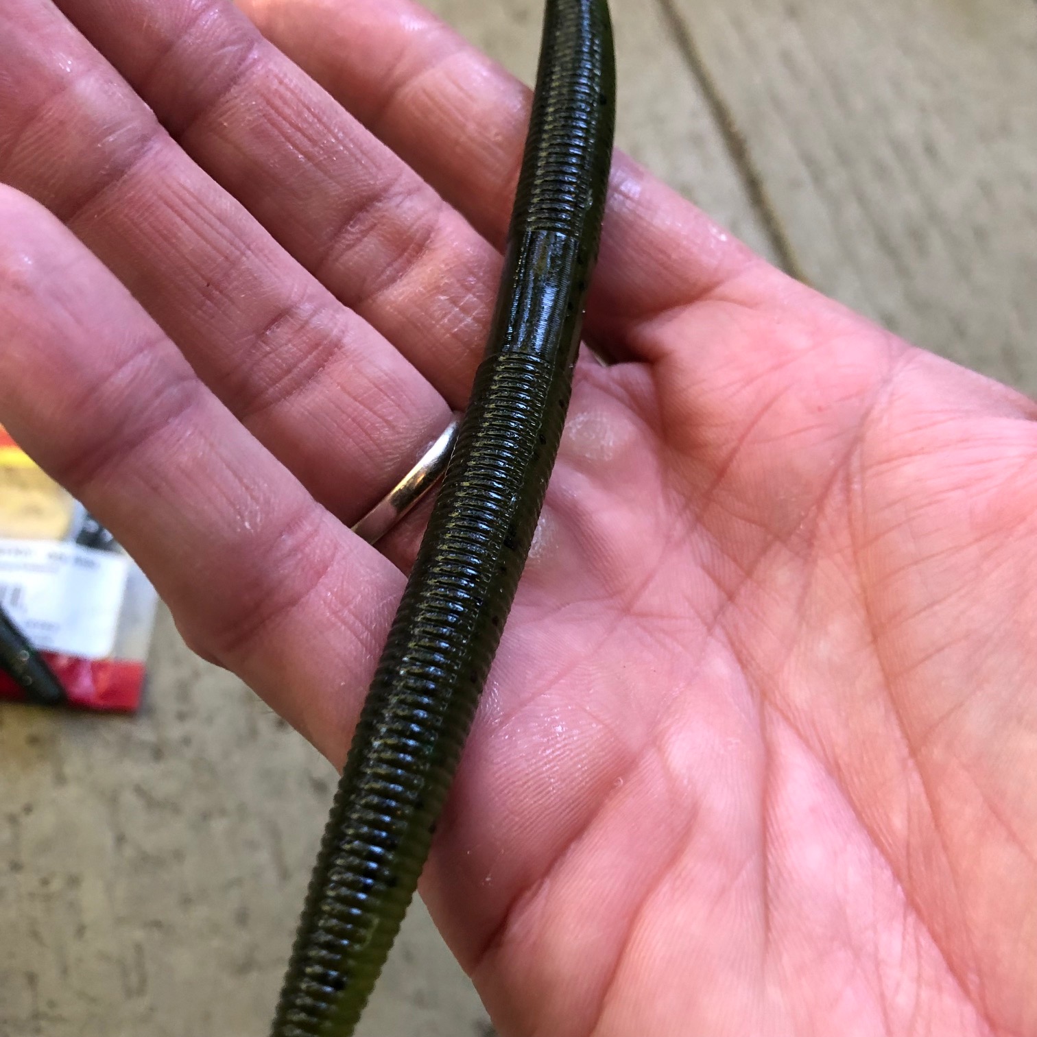 Top 5 Best Wacky Rig Worms for Bass Fishing: Maximize Your Catch