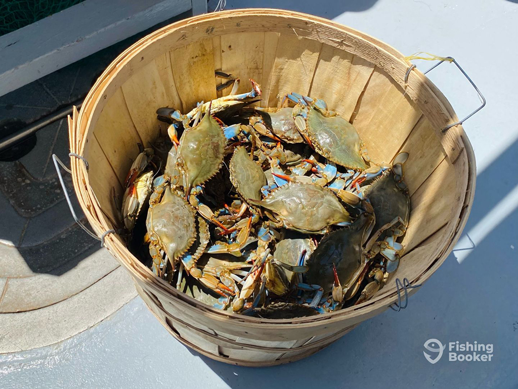 Best Crabbing Tides: When to Catch More Crabs with Slack Water