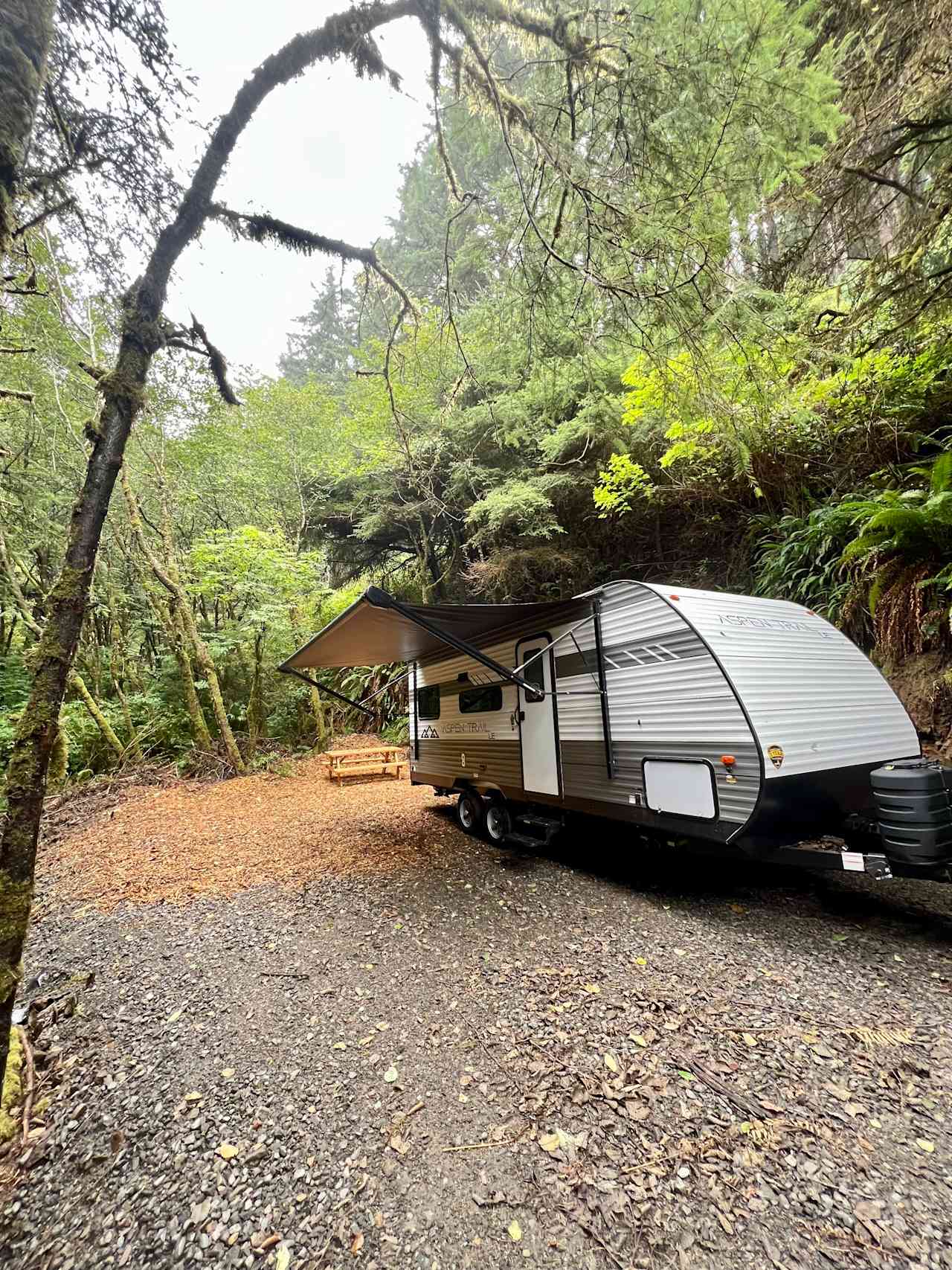 Unwind by the River:  Siletz River Camping Spots