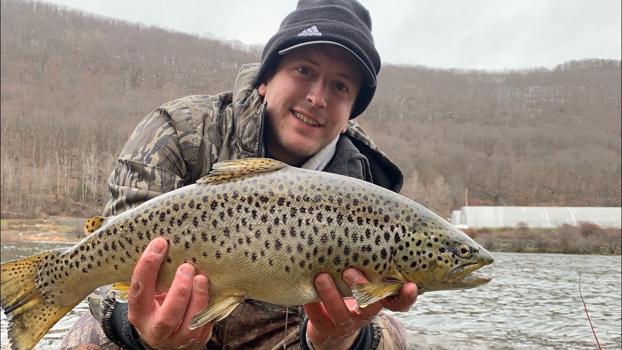 Fly Fishing the Allegheny River: Catch Brown Trout, Smallmouth Bass & More