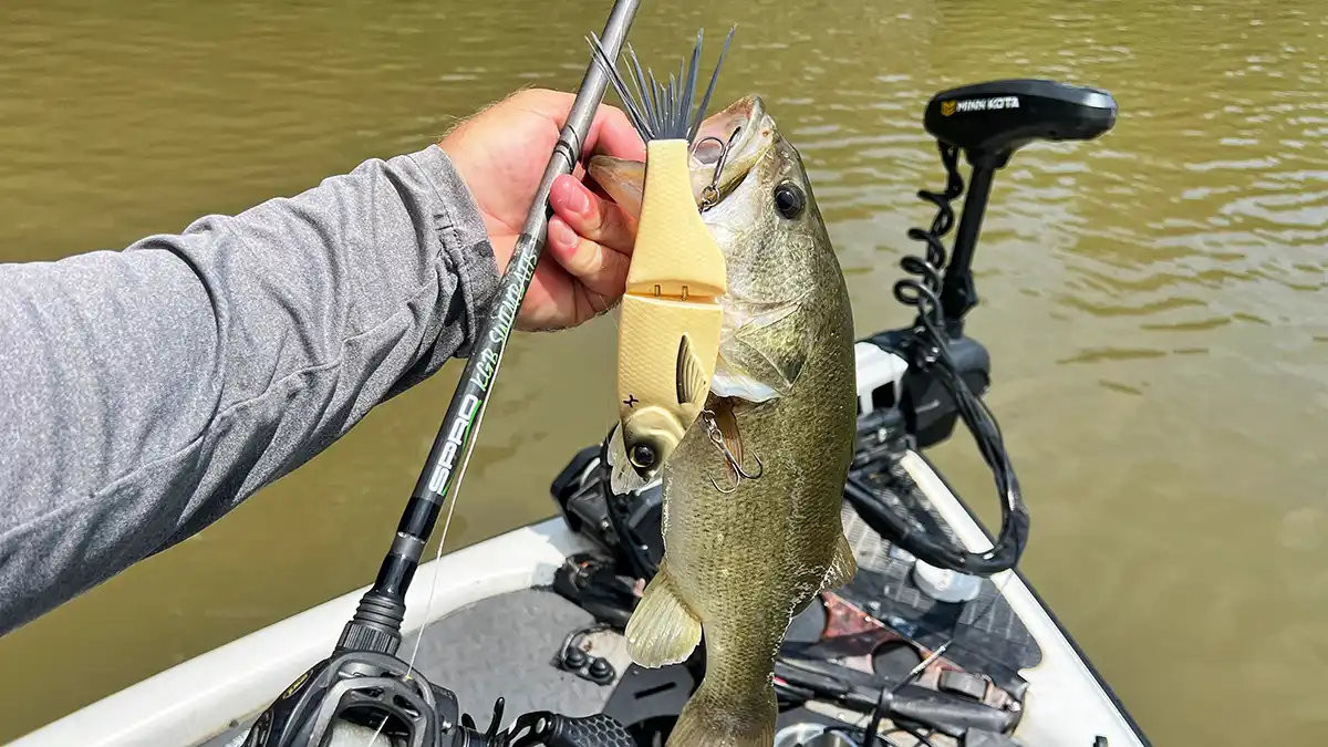 Catch More Bass with Glide Baits: Expert Tips and Reviews