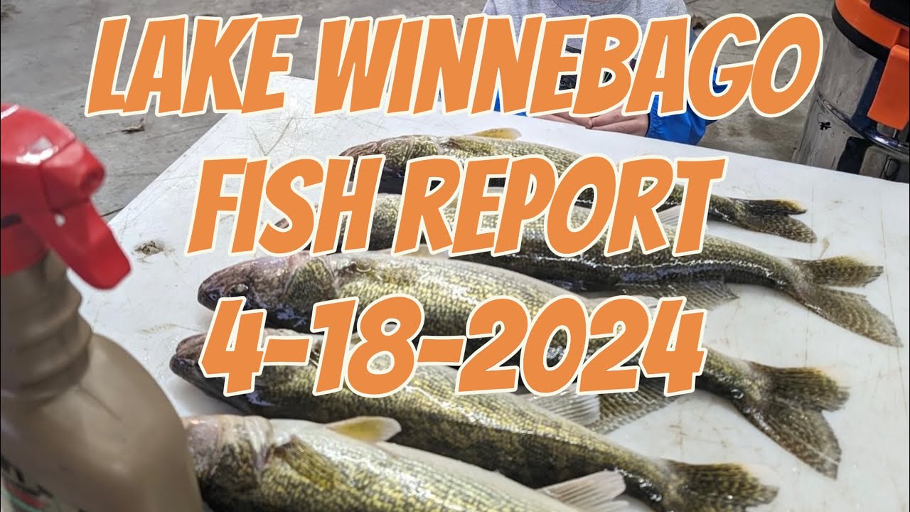 Winnebago Fish Report: What's Biting Now in Lake Winnebago - Fishing Insights