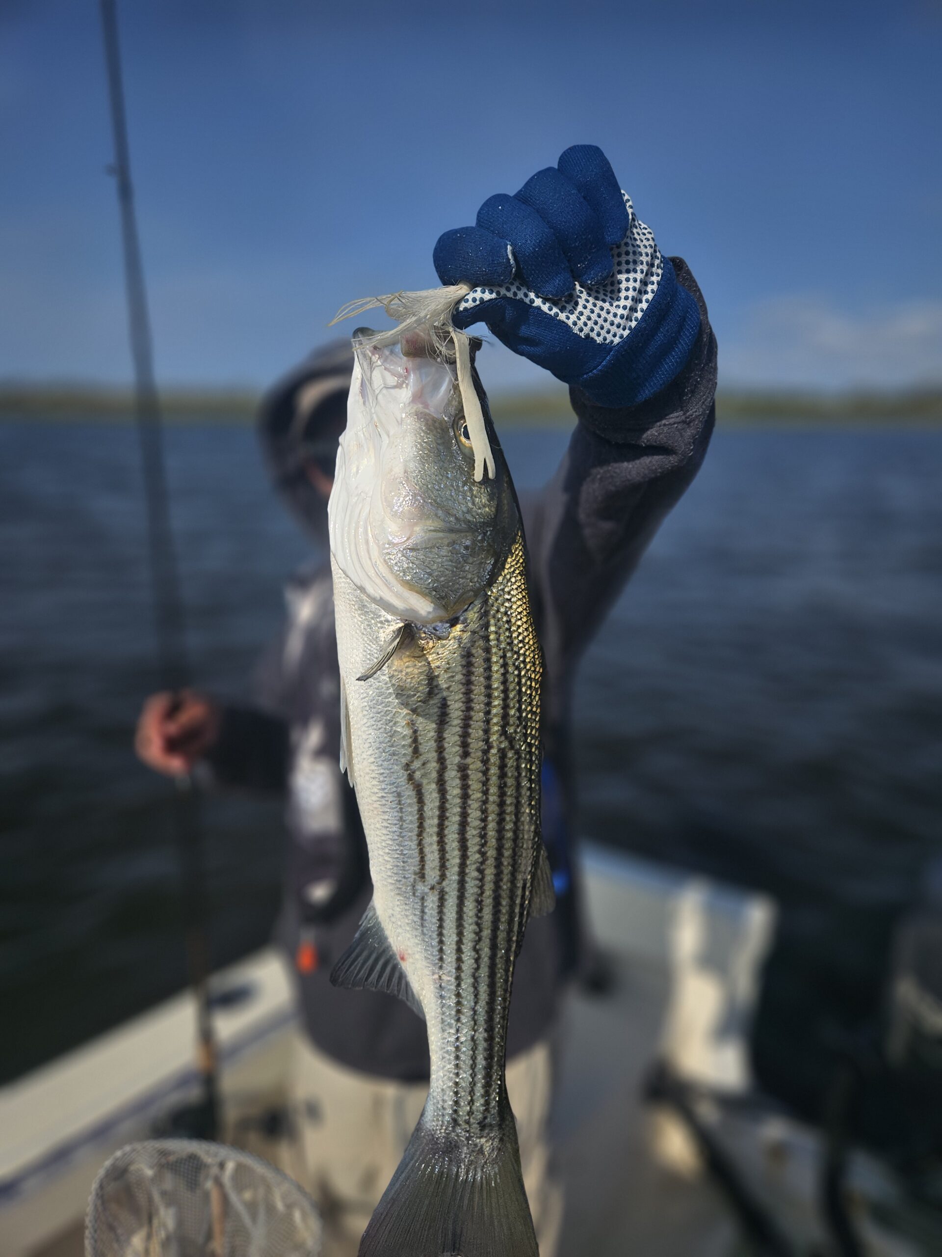 Catch the Big One: Jamaica Bay NY Fishing Report for Anglers