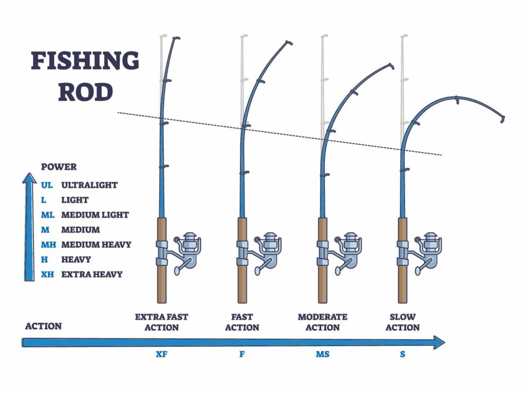 Best Bass Rod Setup for Beginners: Tips and Gear Recommendations