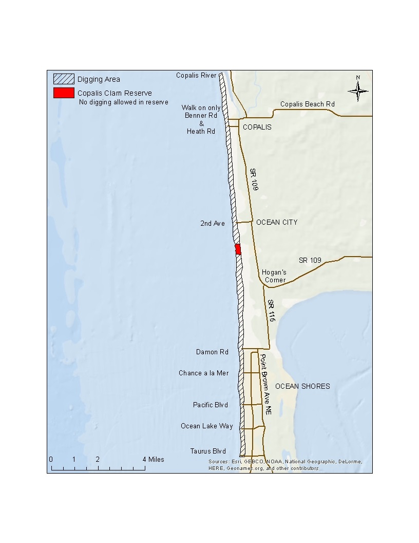 Clam Tides for Ocean Shores: Tide Times and Best Clamming Spots