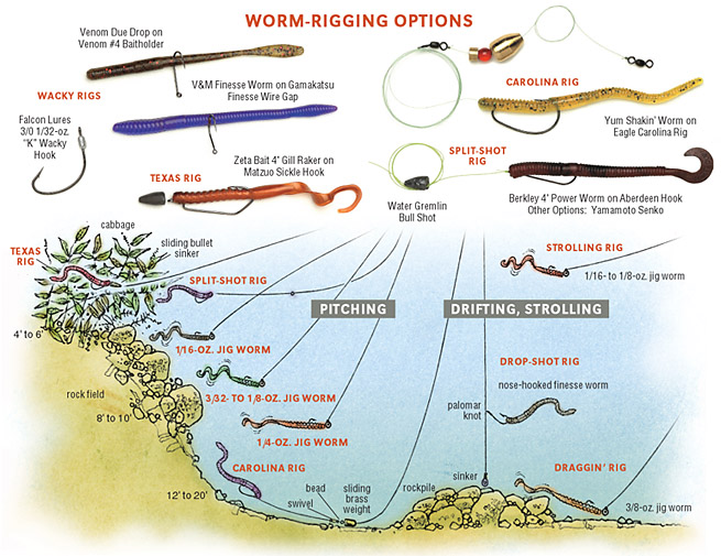 Master Worming Fishing: Top Worms and Tactics for Every Season