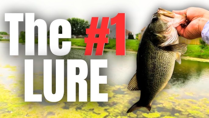 Unlocking the Power of Fishing Lure Scent: Attract More Fish