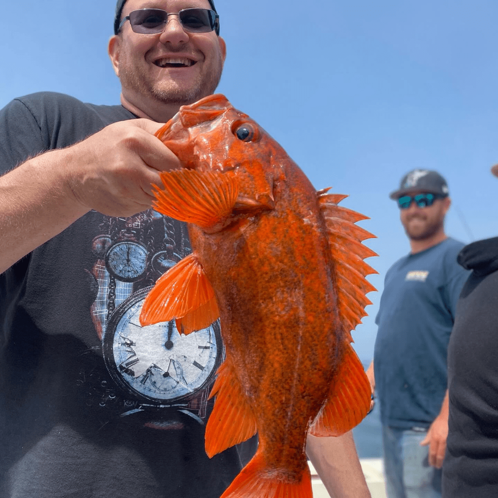 Bodega Bay Fishing Report: What's Biting This Week (November 2024)