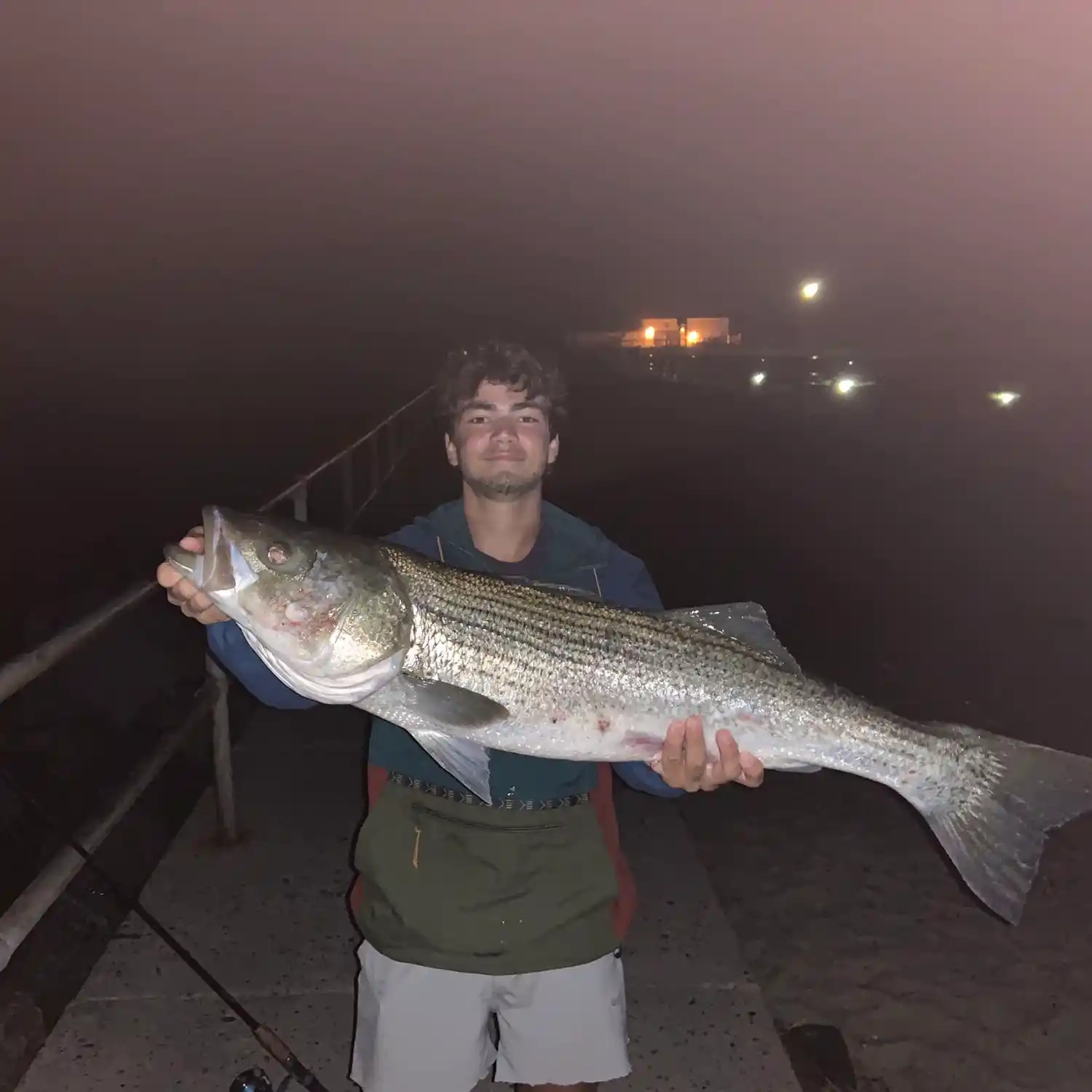 indian river inlet delaware fishing report