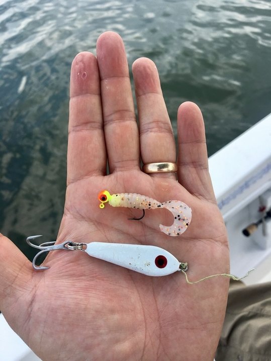 Top White Bass Lures You Need to Try This Season