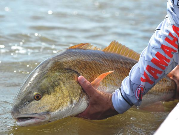 Sabine Lake Fishing Report: Trout, Redfish, and More Action