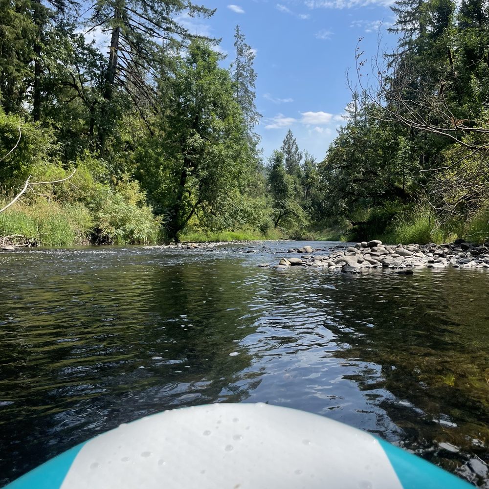 Donkey Ponds Dayton Oregon: Best Fishing and Outdoor Activities Near You