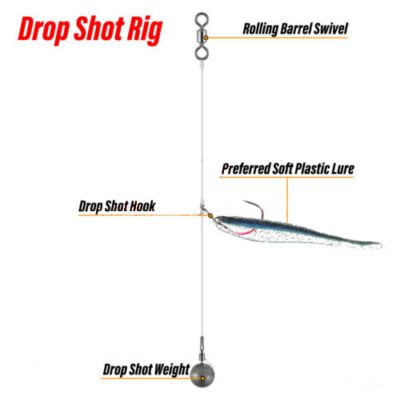 How to Choose the Perfect Drop Shot Lures for Every Fishing Trip