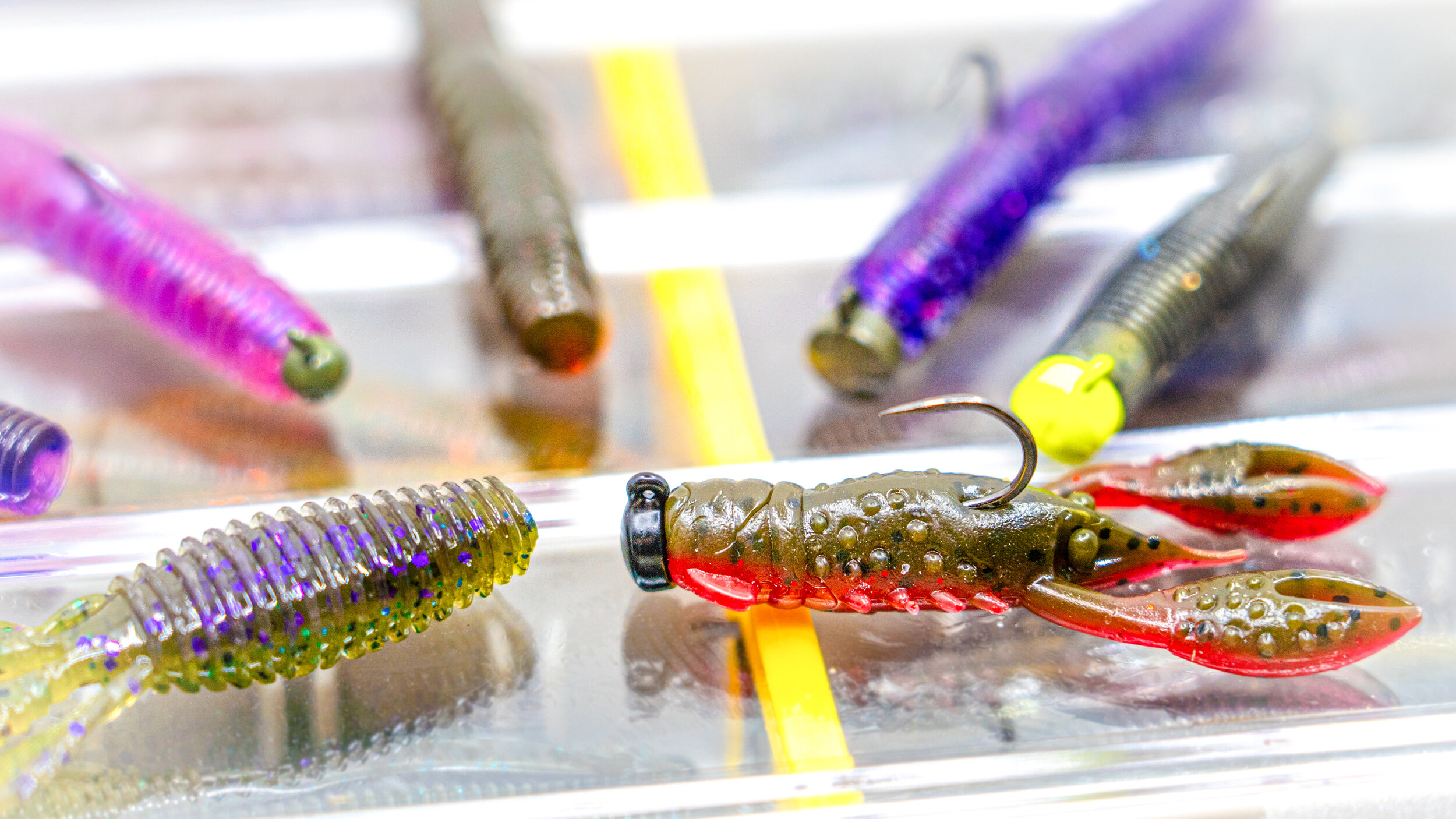 Best Ned Rig Colors for Consistent Bass Fishing Success