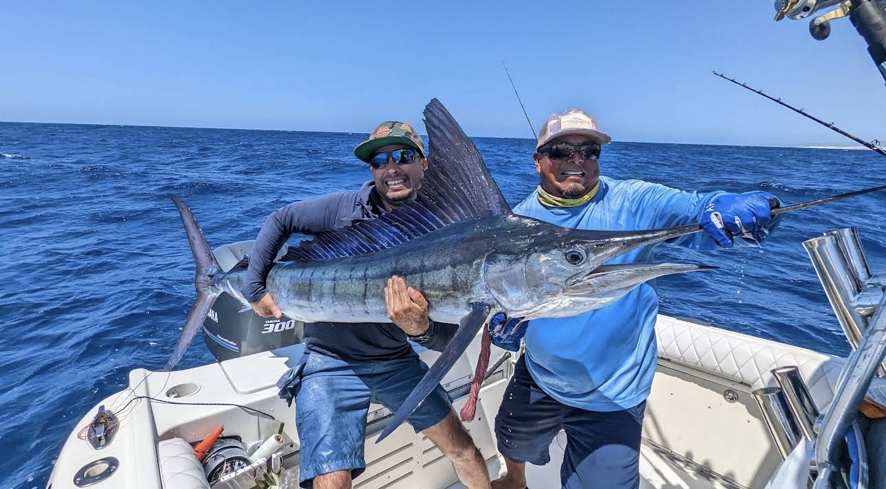 Cabo San Lucas Sportfishing Update: Best Time for Marlin and Tuna Fishing