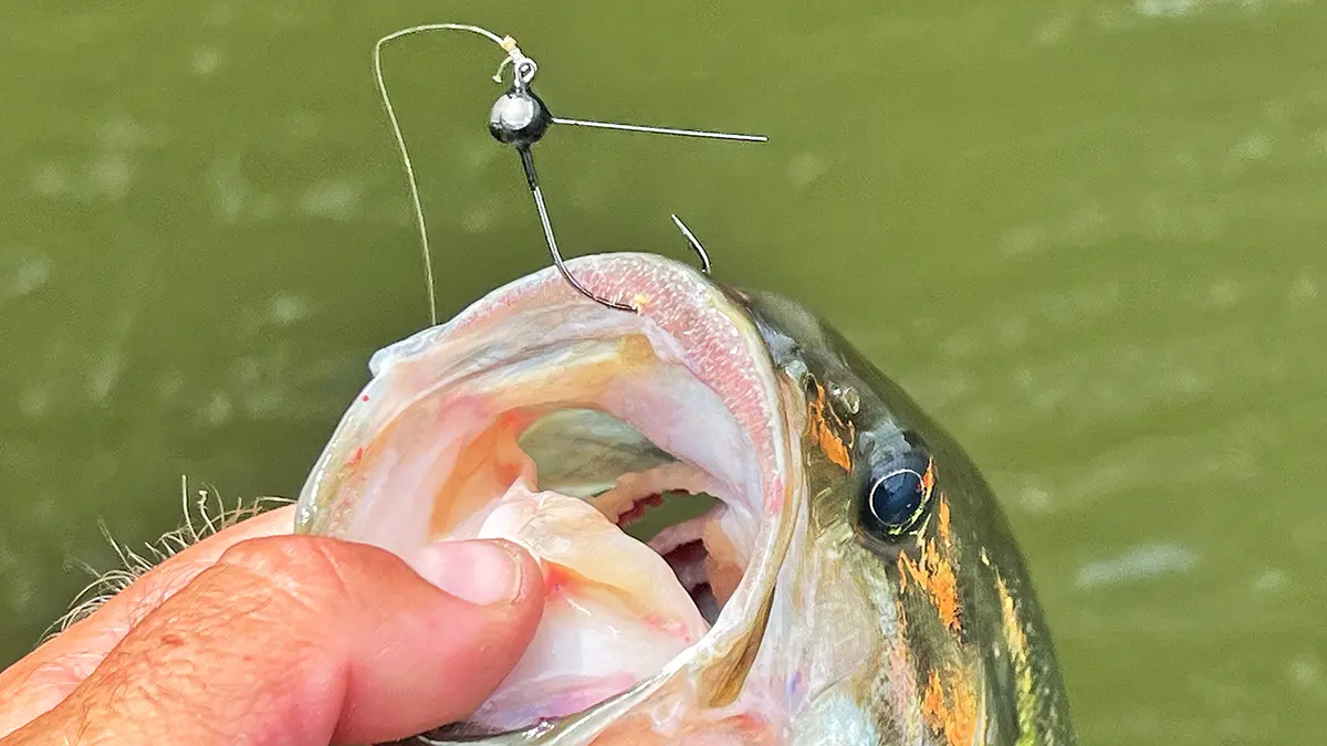 Ultimate Guide to Fishing with Wacky Jigs: Tips & Techniques