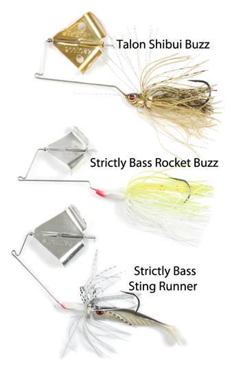 How to Use Buzz Bait Lures for Bass Fishing: Tips and Tricks