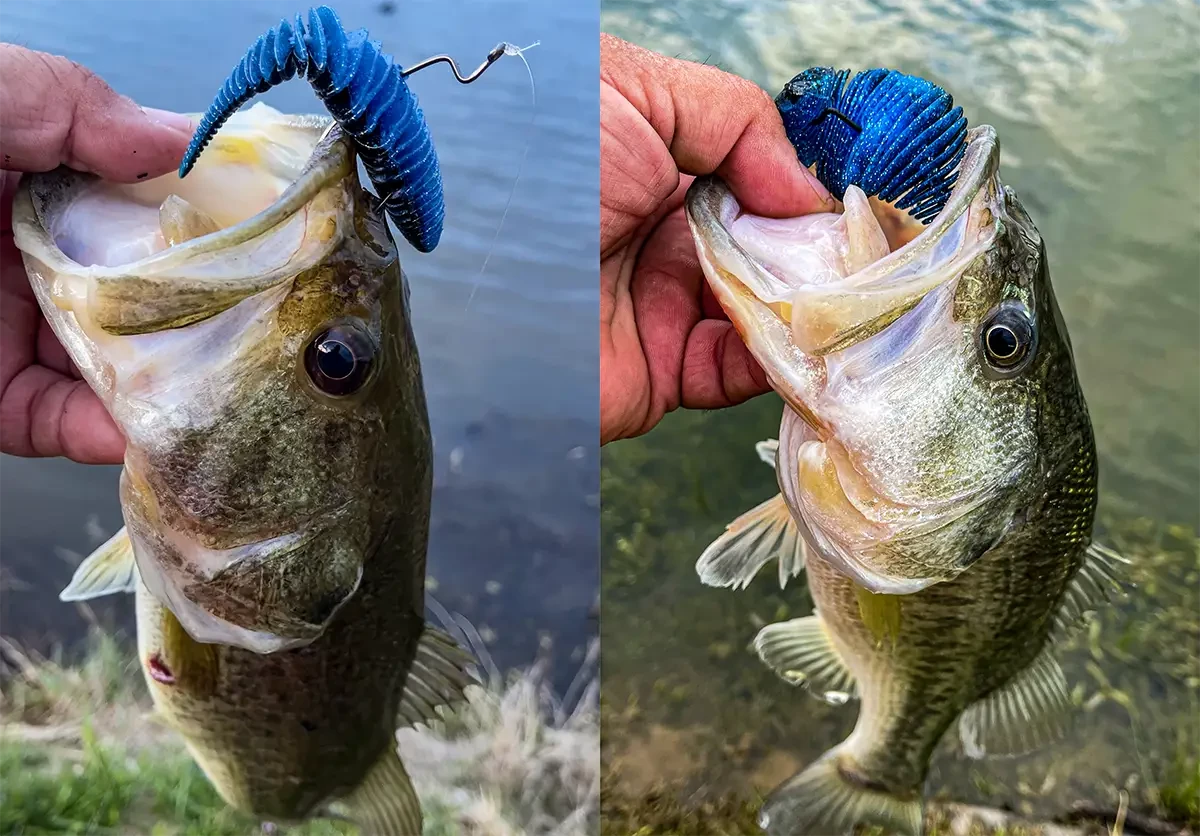 Discover the Power of Geecrack Bellows Gill Lure for Successful Fishing