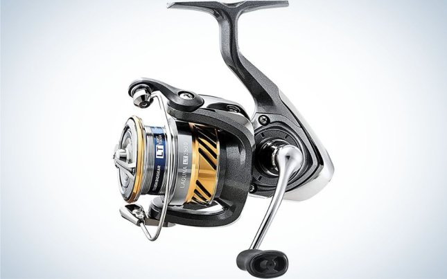 Best Reel Size for Bass Fishing: Ideal 2500-3000 Spinning Reels