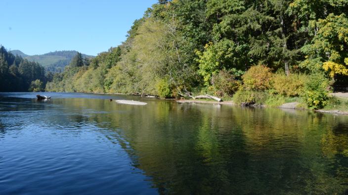 Discover the Beauty of Ben and Kay Dorris Park in Vida, Oregon