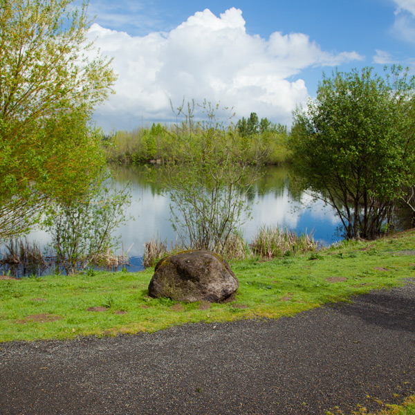 Discover the Beauty of Salish Ponds Fairview: Ideal for Nature Lovers