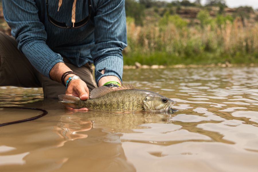 Discover Prime Smallmouth Bass Fishing Locations Near You This Season