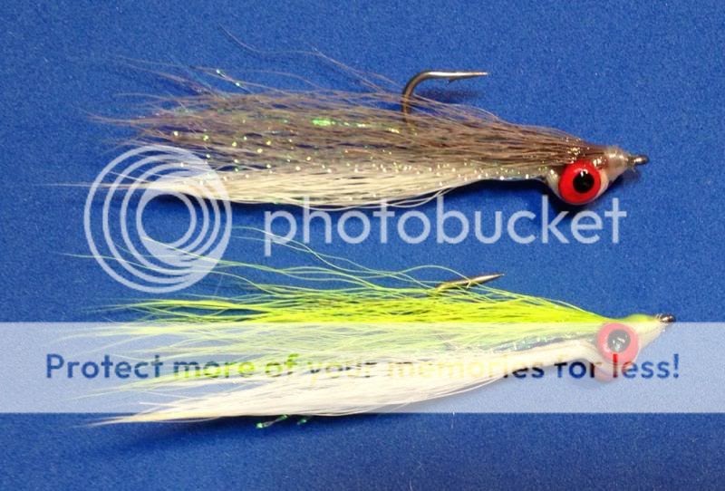 Best Flies for Shad Fishing: Top Patterns for Success