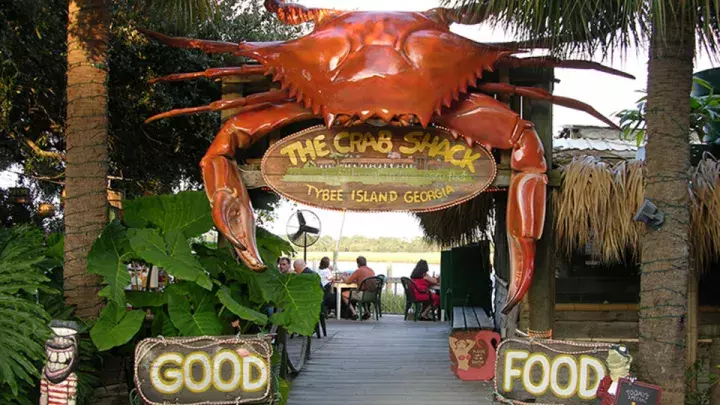 Explore Midder Crab Season in Savannah, GA: Best Spots and Tips