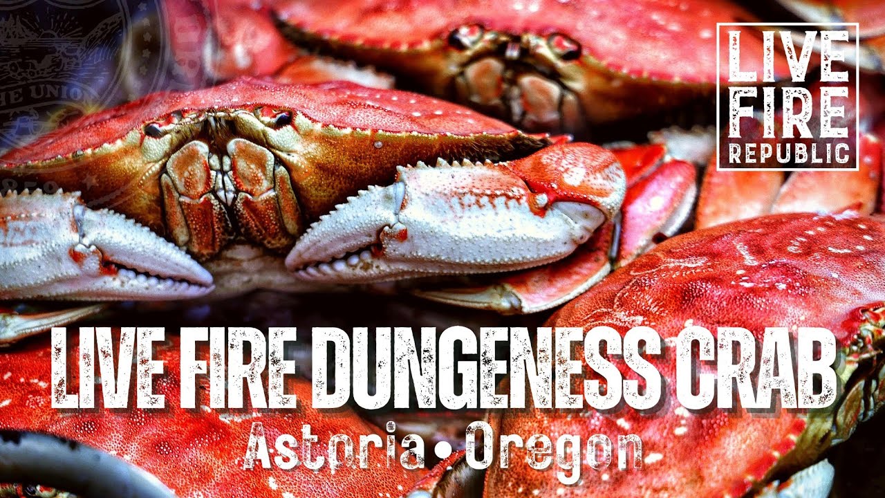 Discover Crabbing in Astoria, Oregon: Best Times and Places for Dungeness Crab