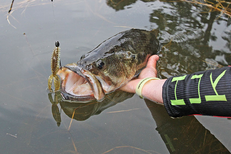 The Ultimate Guide to Bass Fishing During Spawn: Tactics, Timing, and Gear