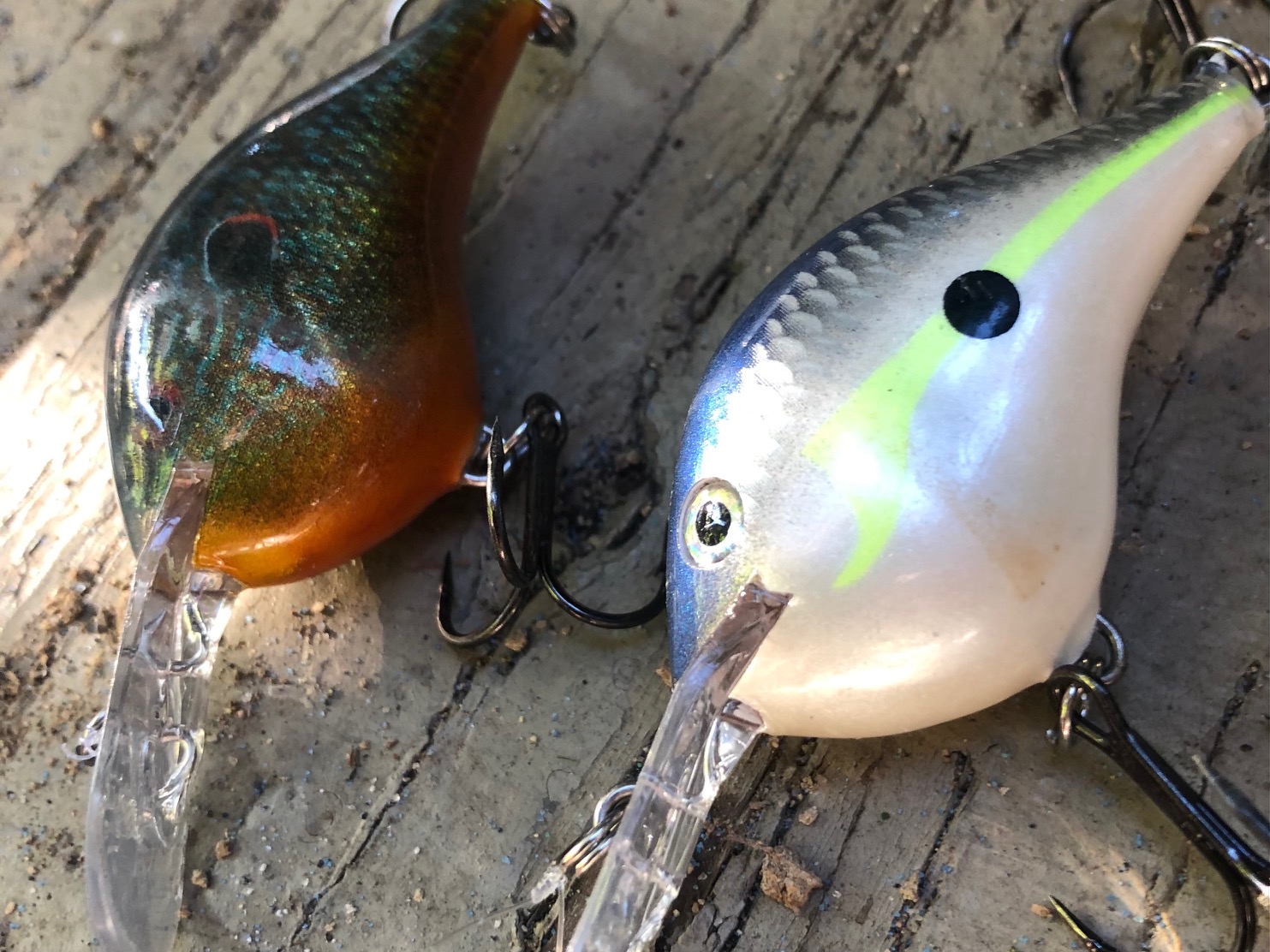 Why the DT6 Crankbait is a Must-Have for Deep Bass Fishing