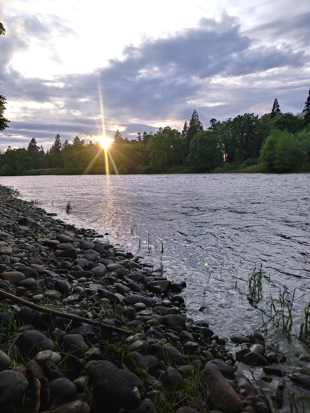 Explore Harvest Landing Park: A Scenic Destination in Springfield, Oregon