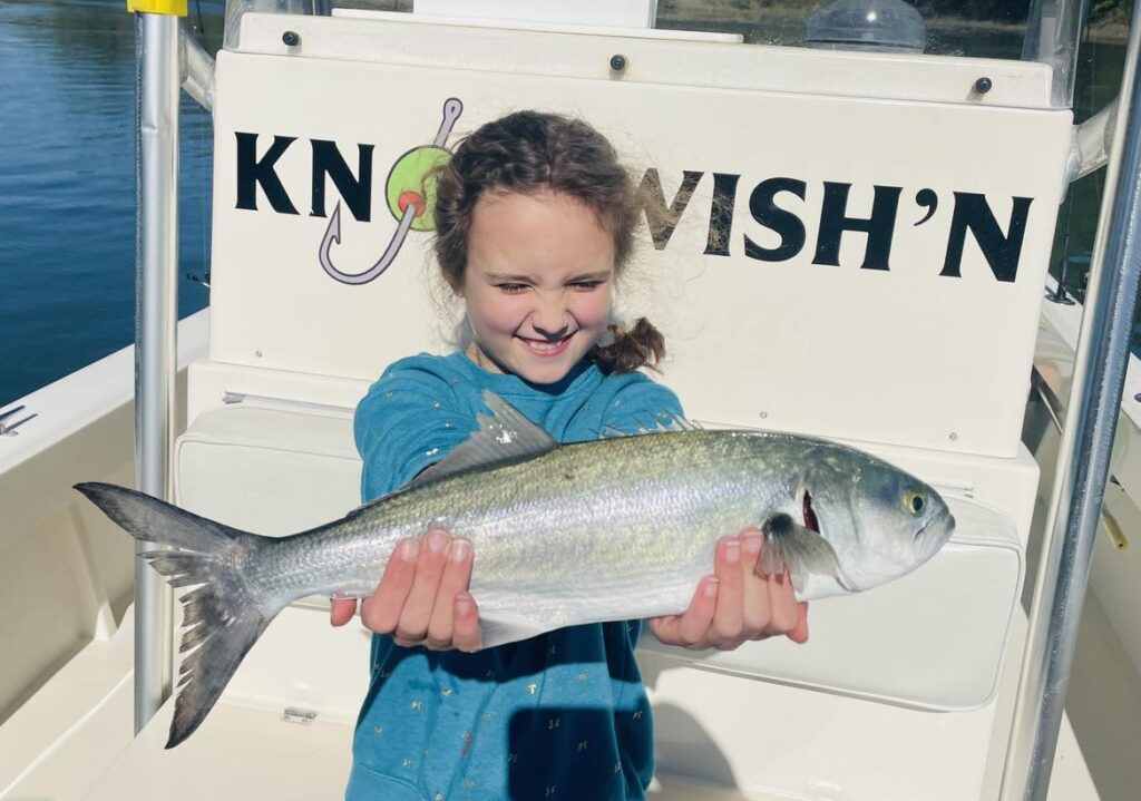 Virginia Beach Rudee Inlet Fishing Report: Bluefish, Black Seabass, and More