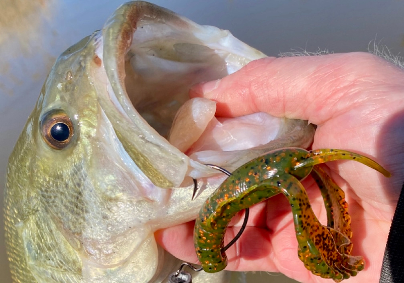 Late Winter Bass Fishing Tips: Best Baits and Techniques for Cold Water Success