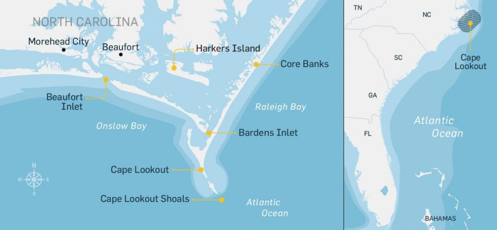 Latest Cape Lookout NC Fishing Report: Top Species & Hot Fishing Locations