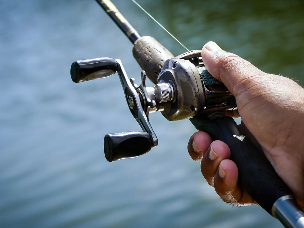 Ultimate Guide to the Best Bass Fishing Rods for Beginners