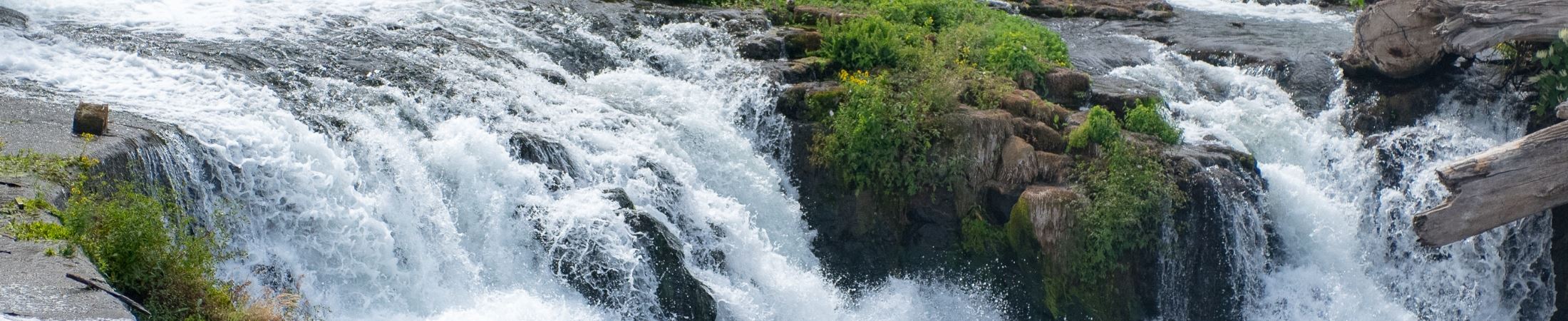 Discover Clackamette Cove: Trails, Parks, and Scenic Views in Oregon City