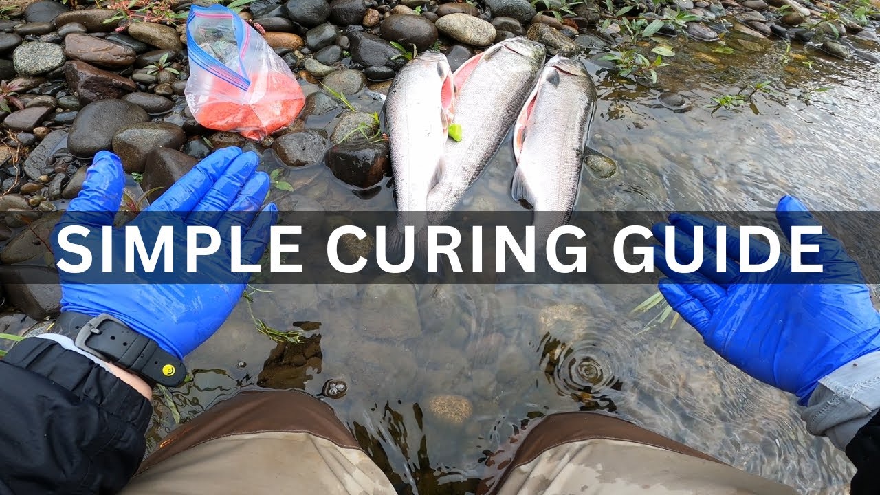 How to Cure Salmon Eggs for Fishing: A Step-by-Step Guide