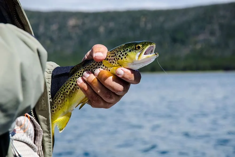 Unlocking the Secrets of Sunriver Fly Fishing Adventures