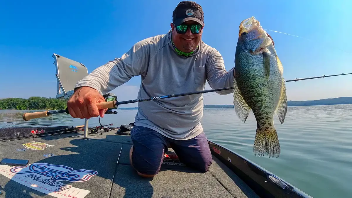 Best St. Croix Avid Panfish Rods for Anglers: Performance and Durability Explained