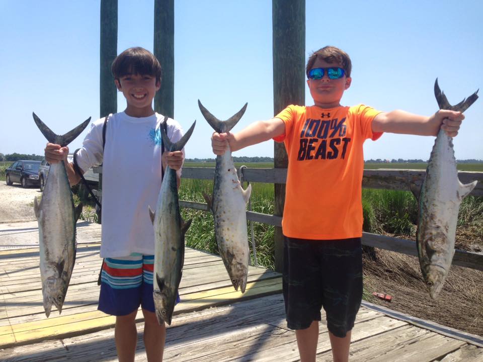 Tybee Island Fishing Report: Top Fish Species and Prime Locations to Fish This Week