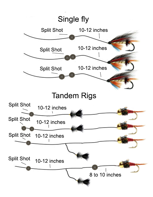 slip shot rig