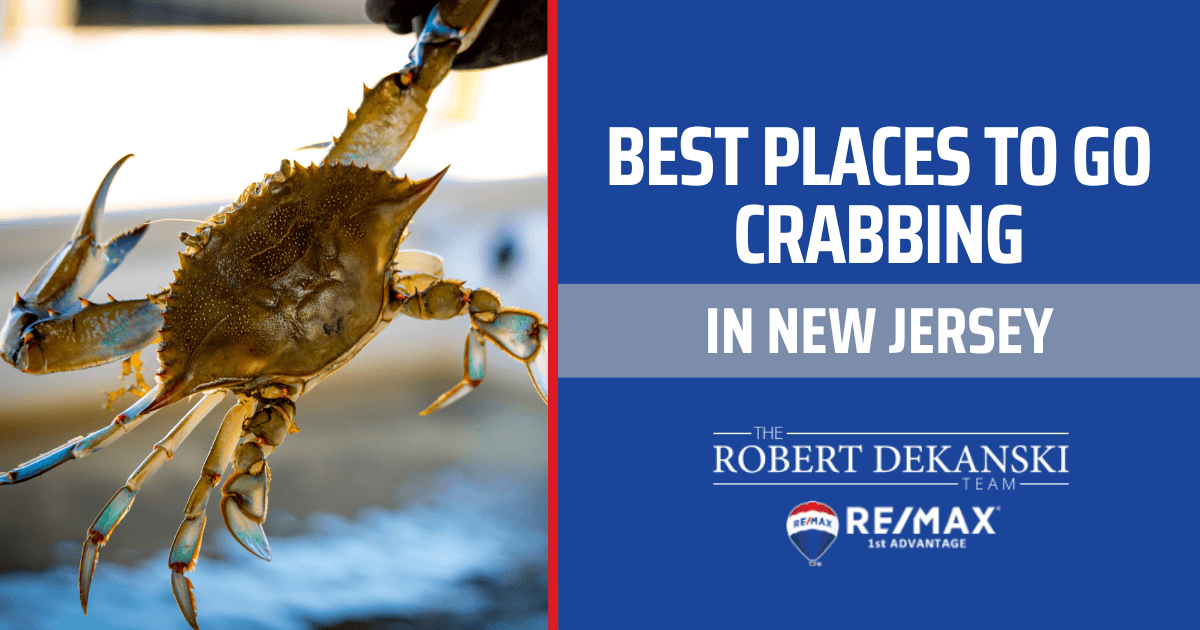 Crabbing in Point Pleasant: Best Times and Places for an Unforgettable Experience