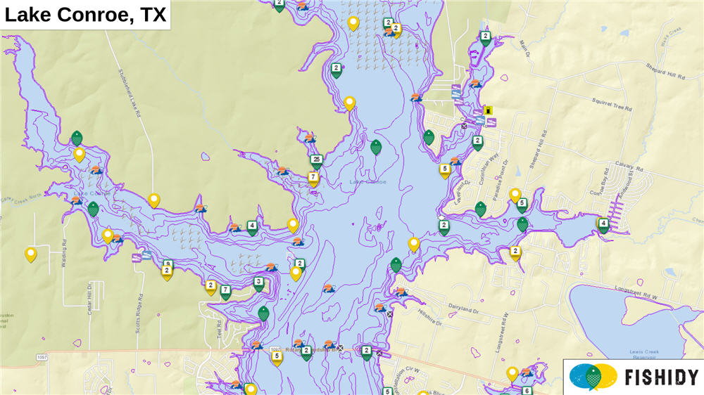 Updated Lake Conroe Fishing Report: Top Techniques and Hot Spots