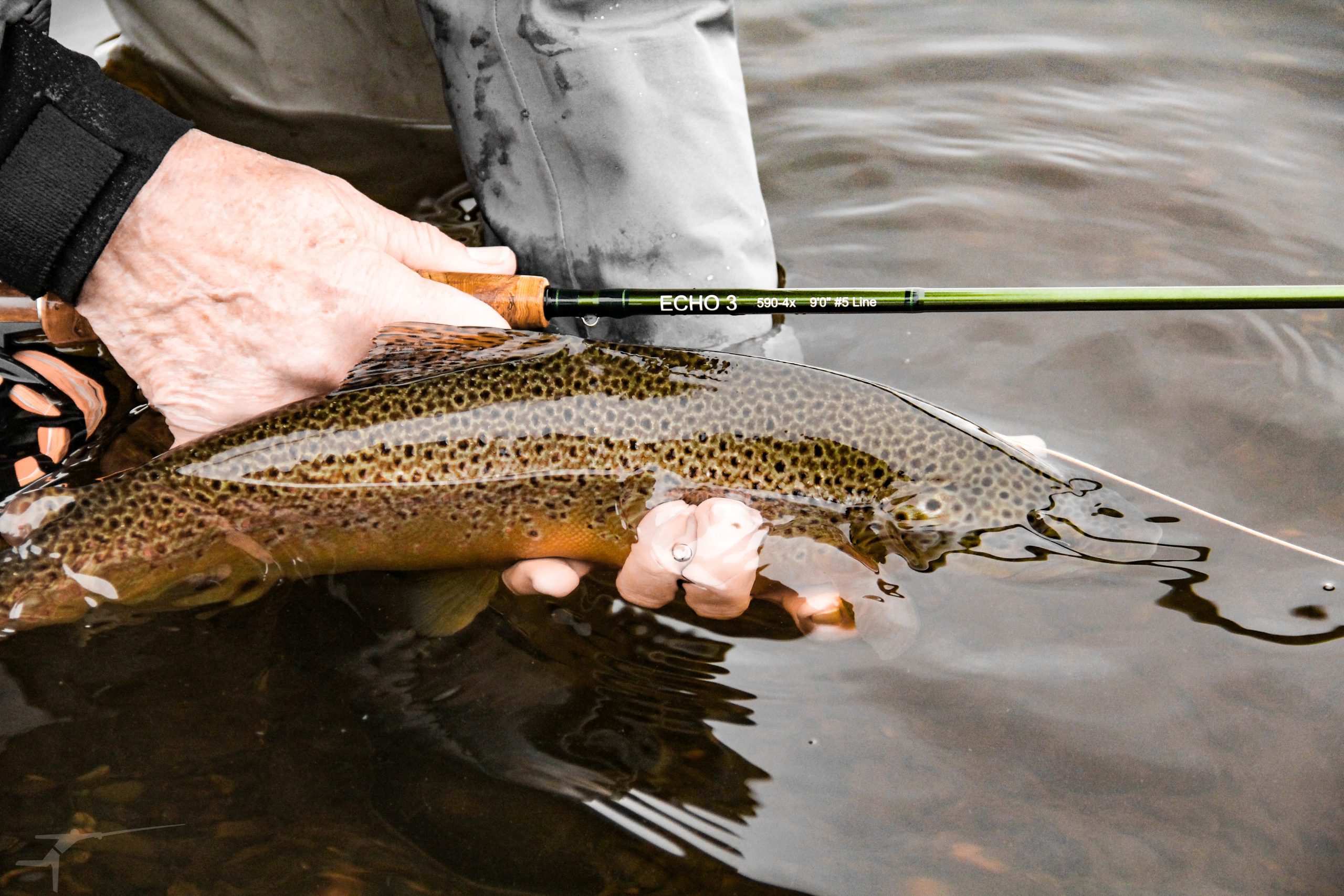 Join the PNW Fly Fishing Forum: Expert Advice on Washington, Oregon, and Alaska