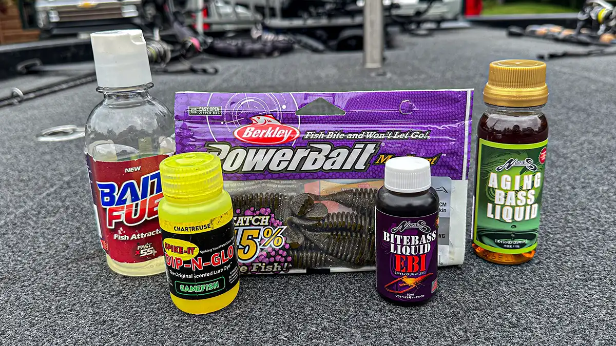 Top Oils That Best Attract Fish When Fishing: Proven Scents for Success