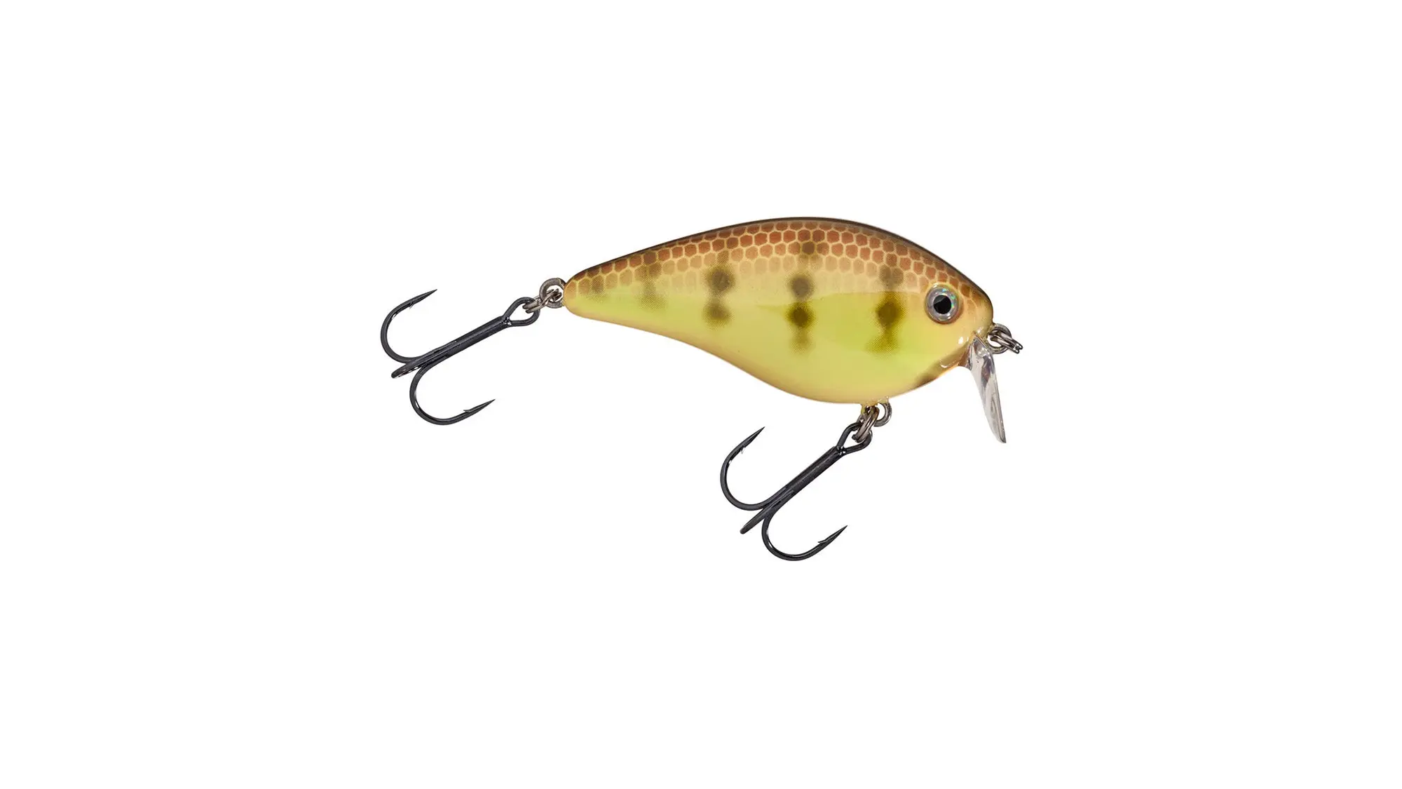 Top Bass Crankbaits for All Water Depths: Expert Picks & Reviews