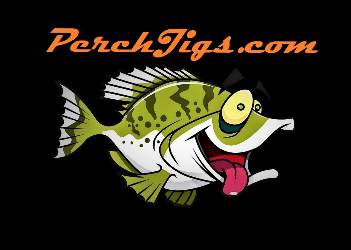 Surf Perch Fishing: Discovering the Most Effective Baits