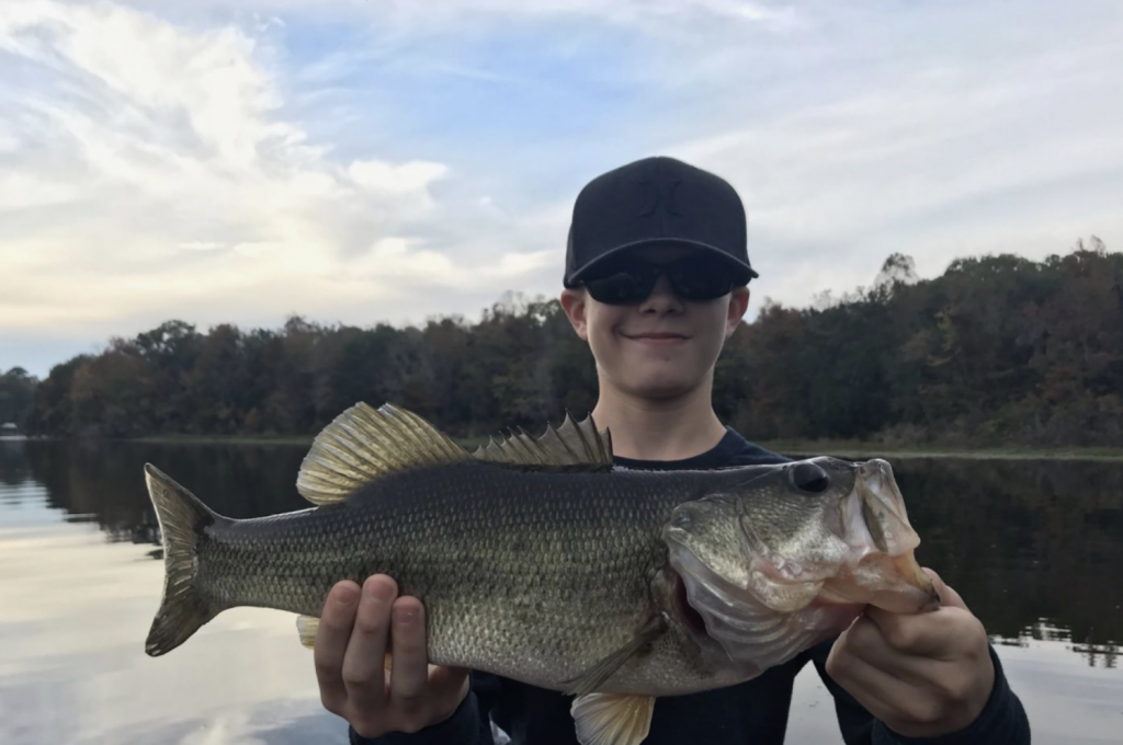 Why Do People Like Fishing for Bass So Much? The Thrill, Challenge, and Rewards